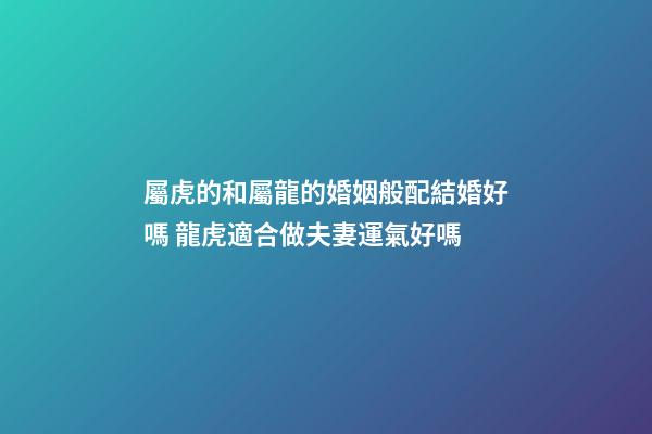 屬虎的和屬龍的婚姻般配結婚好嗎 龍虎適合做夫妻運氣好嗎